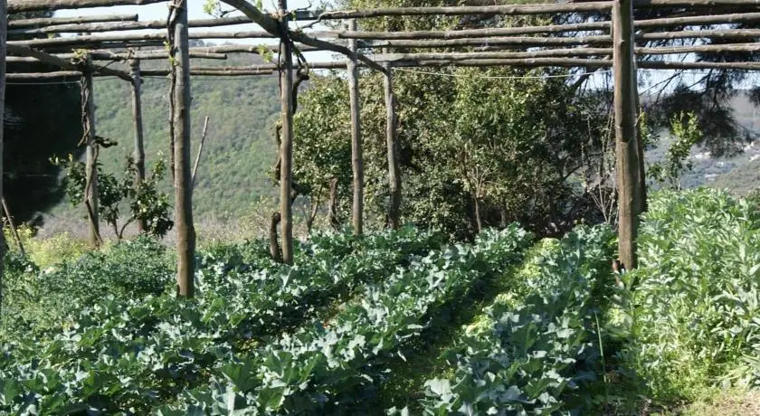 Agriturismo Nonno Luigino