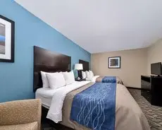 Comfort Inn & Suites Springfield 