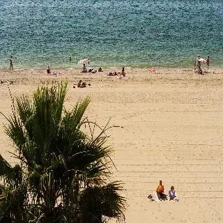 Pins Platja 