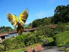 Hotel Arenal Lodge 