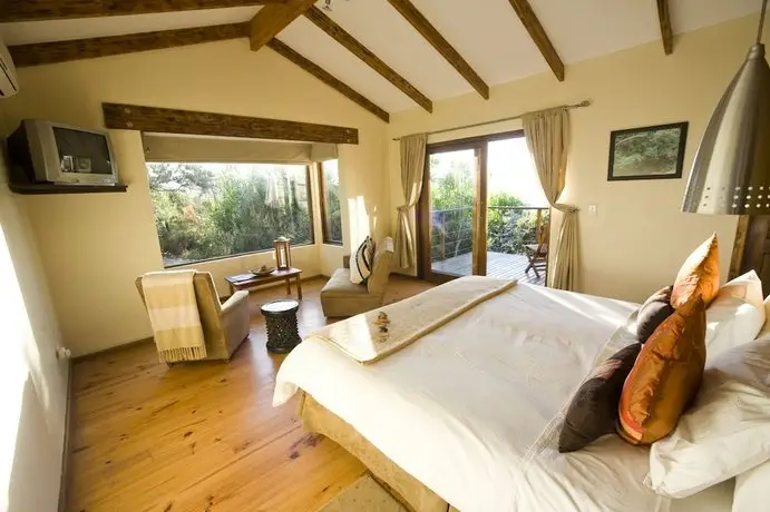 Elephant Hide of Knysna Guest Lodge 