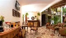 Posada Mariposa Boutique Hotel - 5th Avenue 