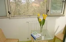 Il Tulipano 