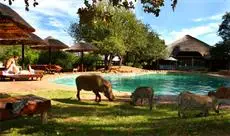 Mabalingwe Nature Reserve Lodge Bela Bela 