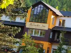 Hotel Harrachov Inn 