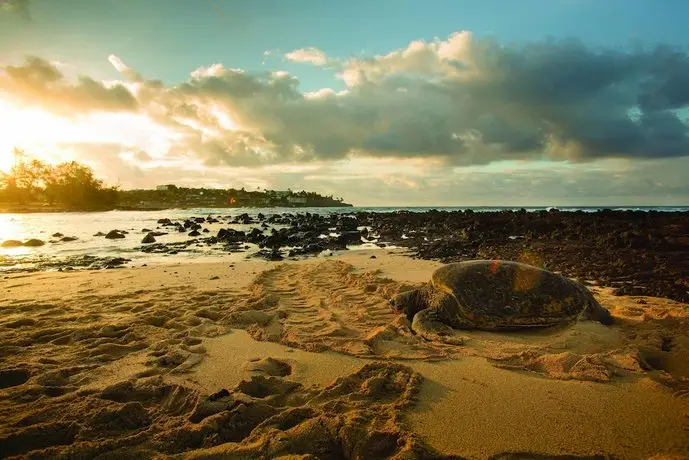 Marriott's Waiohai Beach Club 