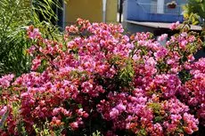 Hotel Bougainville Lipari 