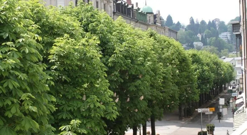 Hotel Romerhof Baden-Baden 