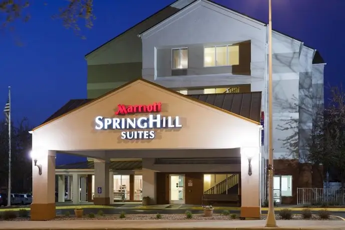 SpringHill Suites Rochester Mayo Clinic Area/Saint Marys 