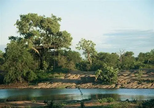 Umlani Bushcamp