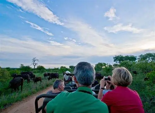 Umlani Bushcamp 