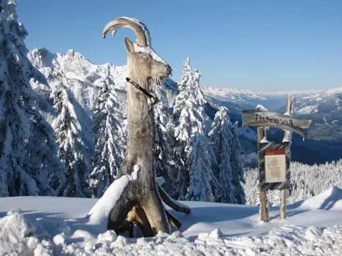 Hirschenwirt St. Johann im Pongau