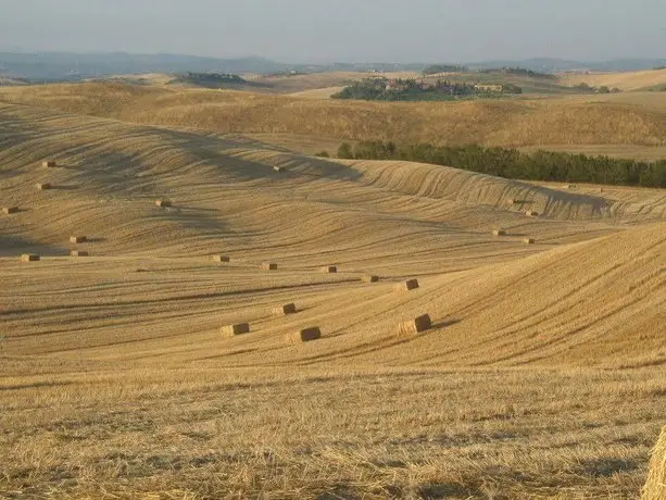 Agriturismo San Giorgio Monteroni d'Arbia