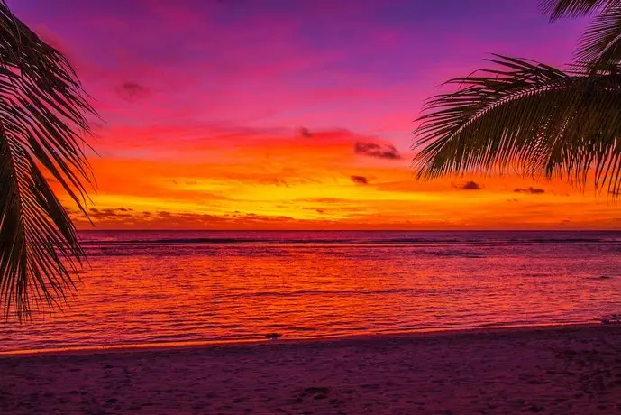 Magic Reef Bungalows 