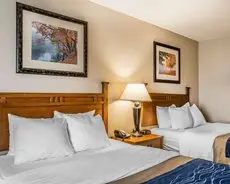 Comfort Inn & Suites Blue Ridge 