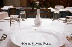 Hotel Silver Falls 