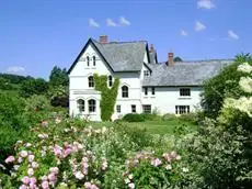 The Forest Country House B&B 