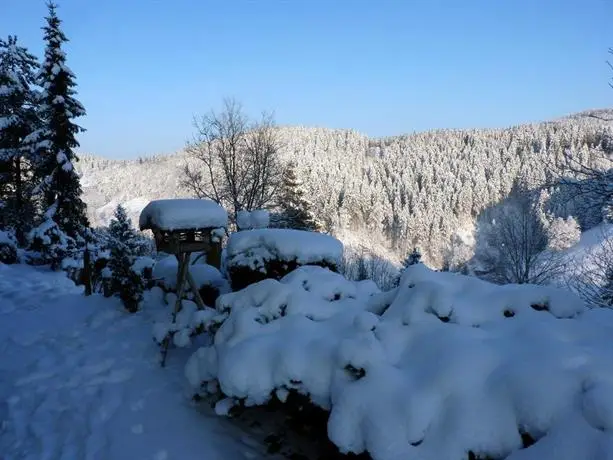 Hoffmanns Hotel Waldfrieden Garni 