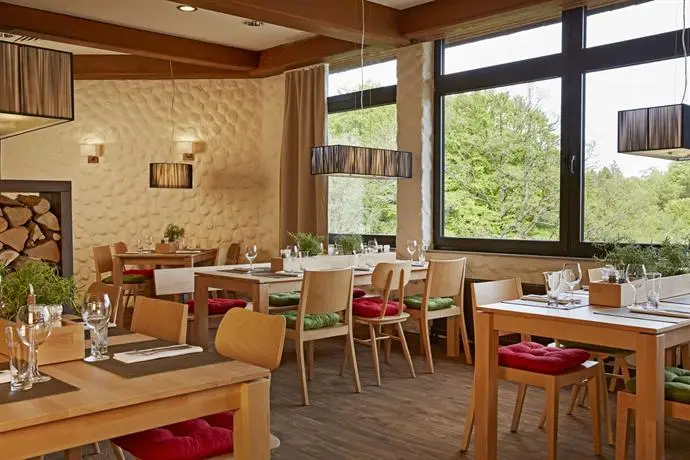 H+ Hotel Willingen 