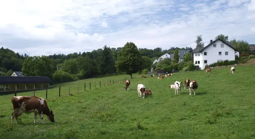 Landhotel Henkenhof Willingen 