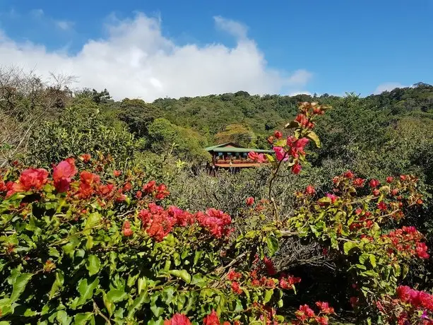 Cloud Forest Lodge 