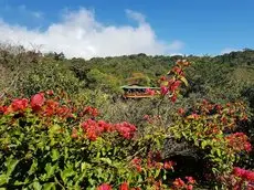 Cloud Forest Lodge 