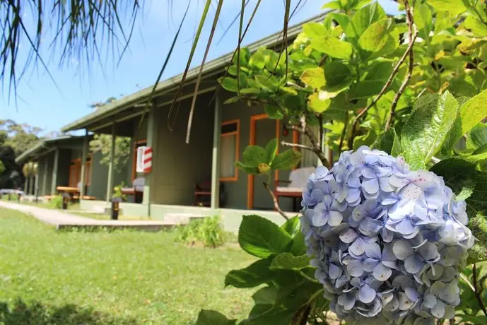 Cloud Forest Lodge 