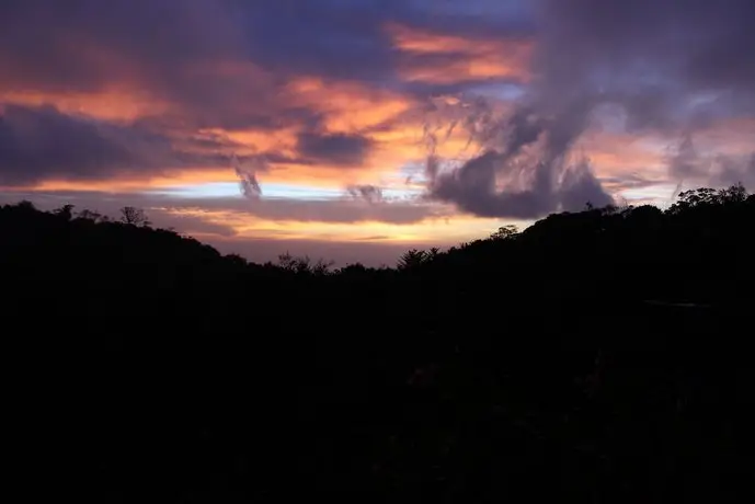 Cloud Forest Lodge 