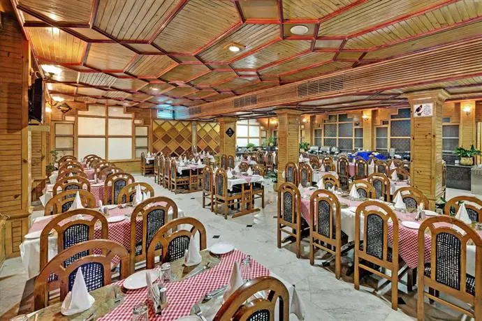 The Manali Inn 