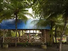 Bali Lovina Beach Cottages 