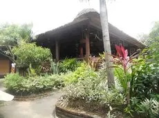 Bali Lovina Beach Cottages 