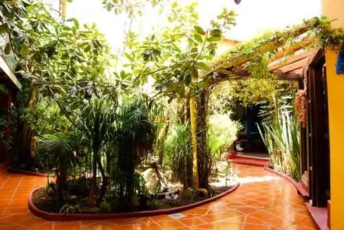 Hotel Jardines Del Centro 