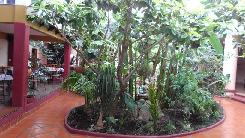 Hotel Jardines Del Centro 