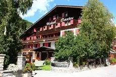 Hotel Castor 