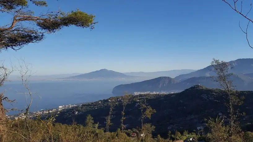 Gli Ulivi Agriturismo 