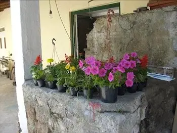 Gli Ulivi Agriturismo 