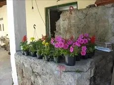 Gli Ulivi Agriturismo 