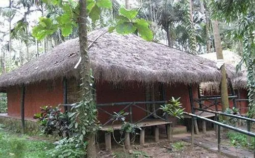 Orchid Resort Wayanad