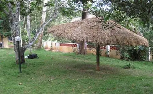 Orchid Resort Wayanad