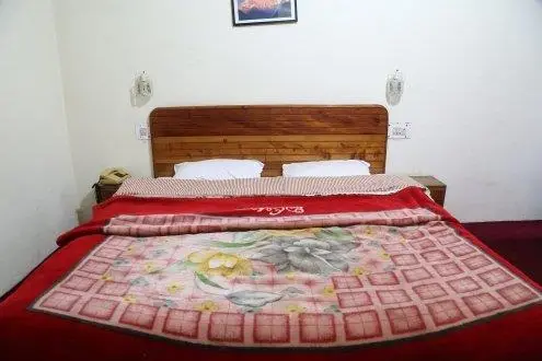 Hotel Classic Manali 