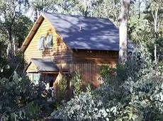 Cradle Mountain Highlanders 