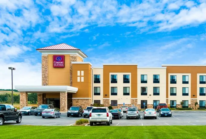 Comfort Suites Rochester Rochester