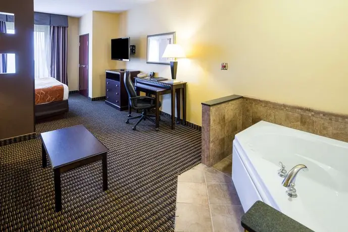 Comfort Suites Rochester Rochester 