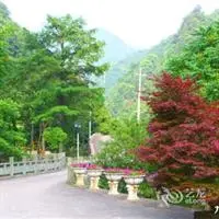 Jiulongxia Holiday Resort 