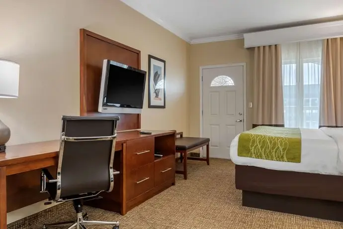 Comfort Suites Central 