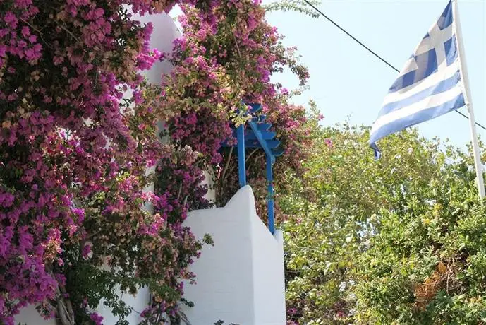 Pelagos Studios Paros 