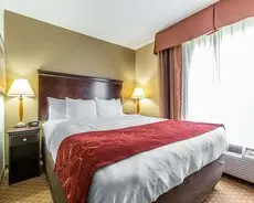 Comfort Suites North Knoxville 