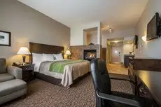 Comfort Inn & Suites Surrey 