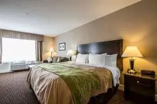 Comfort Inn & Suites Surrey 