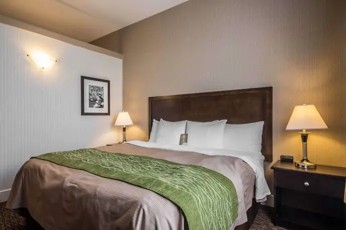 Comfort Inn & Suites Surrey 